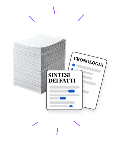 Documenti analizzati da Flow Litigate
